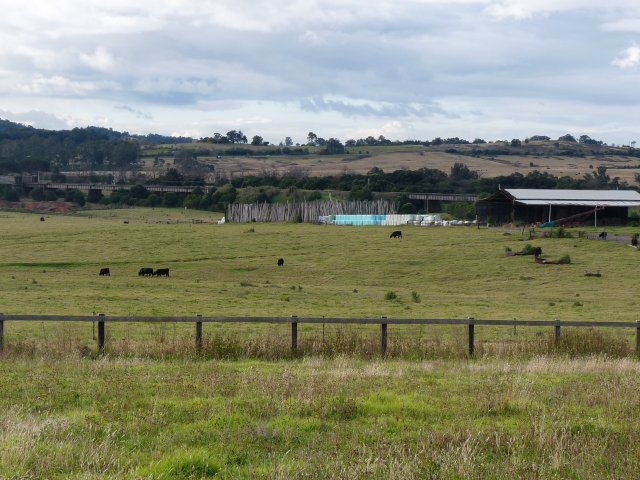 Auntie Glenda Chalker, Macarthur's Farm, South Camden